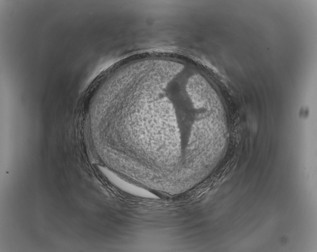 X0000096681255200802261508