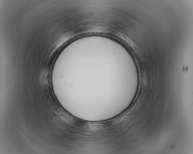 X0000096681258200802261508