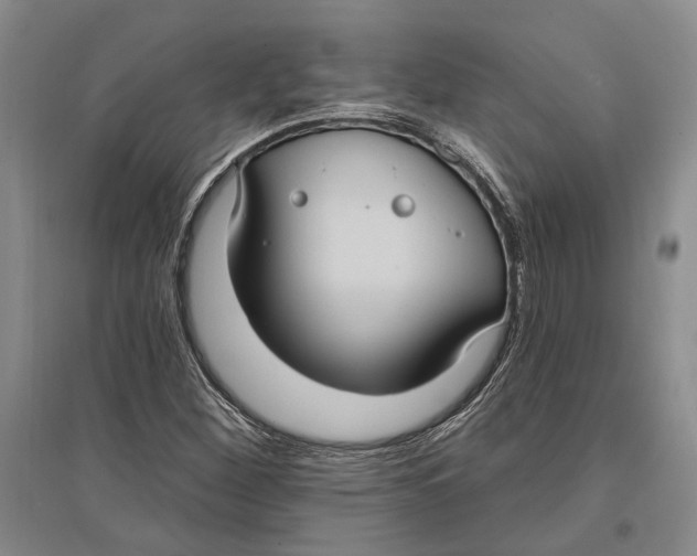X0000096681260200802261508