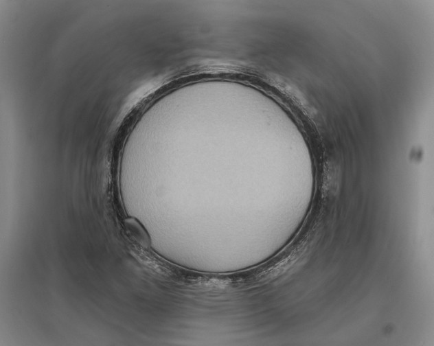 X0000096681261200802261508
