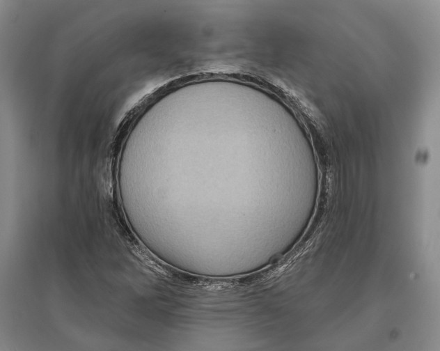 X0000096681262200802261508