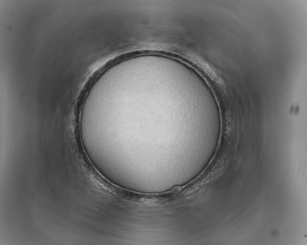 X0000096681264200802261508