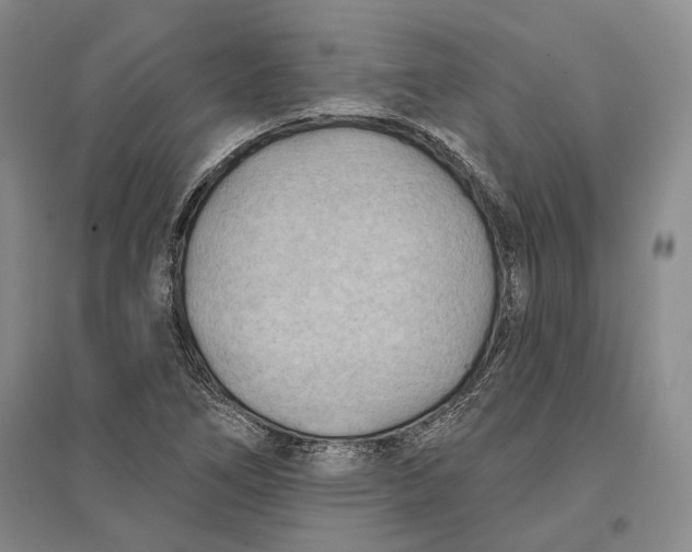 X0000096681266200802261508