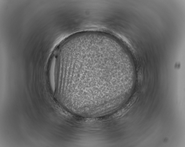 X0000096681267200802261507