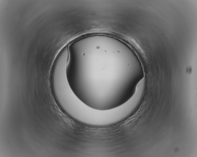X0000096681268200802261507