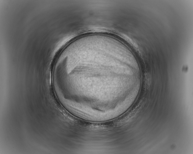 X0000096681269200802261507