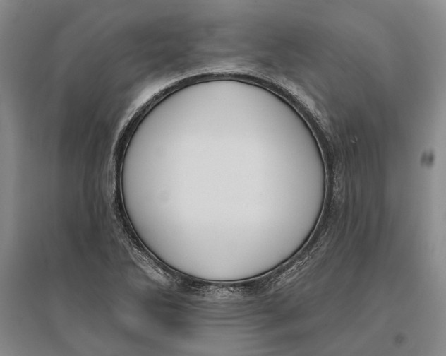 X0000096681270200802261507