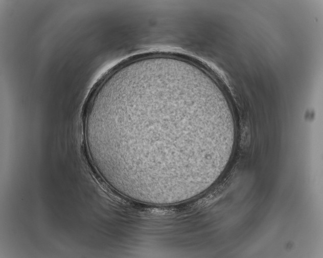 X0000096681271200802261507