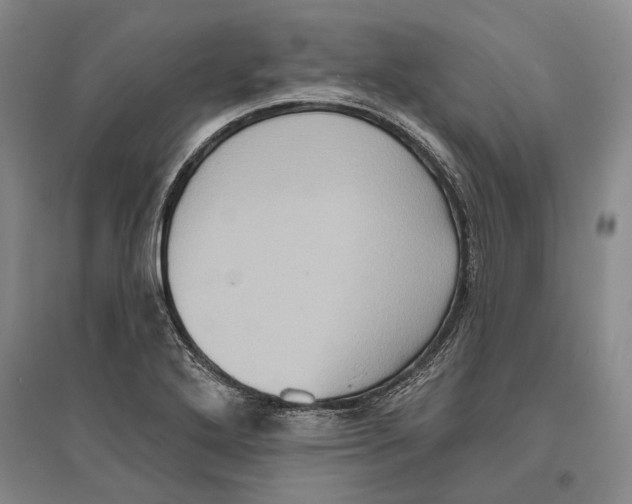 X0000096681272200802261507