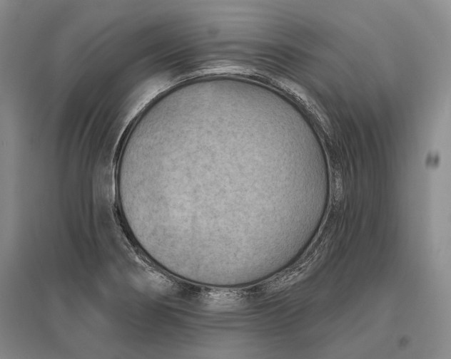X0000096681274200802261507
