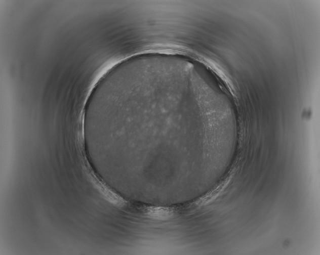 X0000096681275200802261507