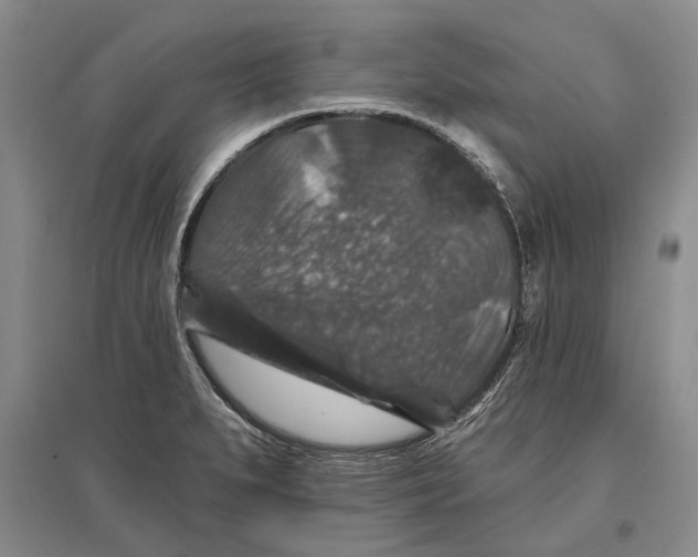 X0000096681279200802261507