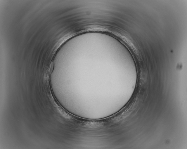 X0000096681281200802261507
