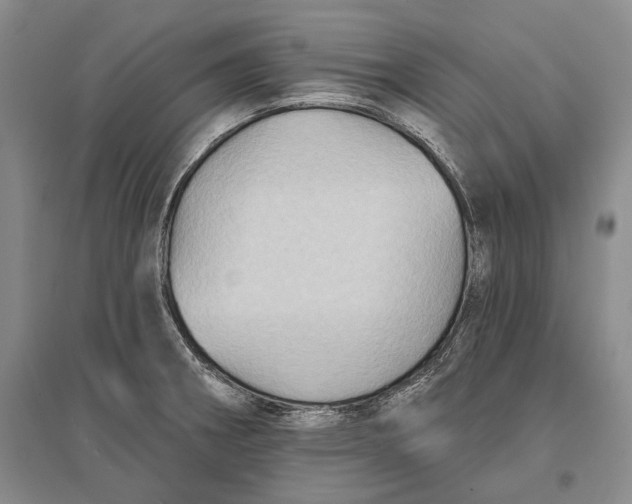 X0000096681282200802261507