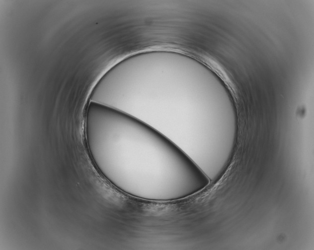 X0000096681284200802261507