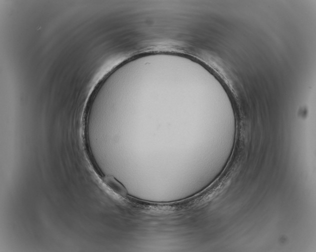X0000096681285200802261507