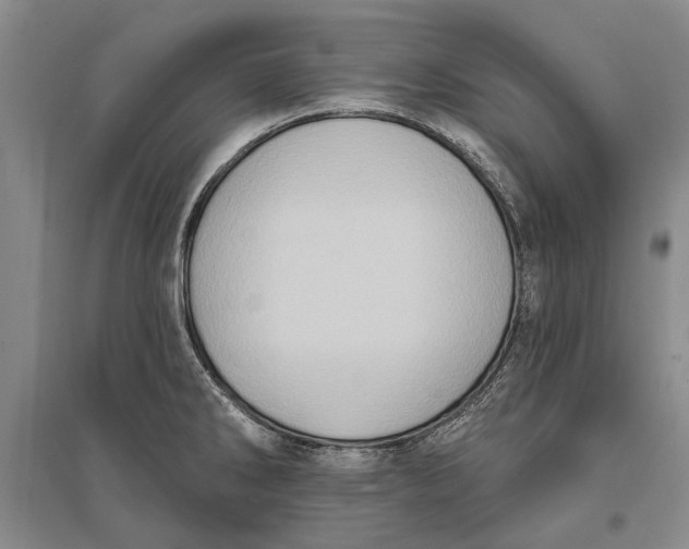 X0000096681286200802261507