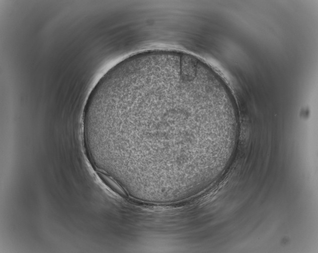 X0000096681287200802261507