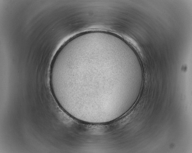 X0000096681288200802261507