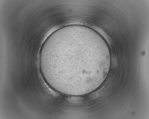 X0000096681290200802261507