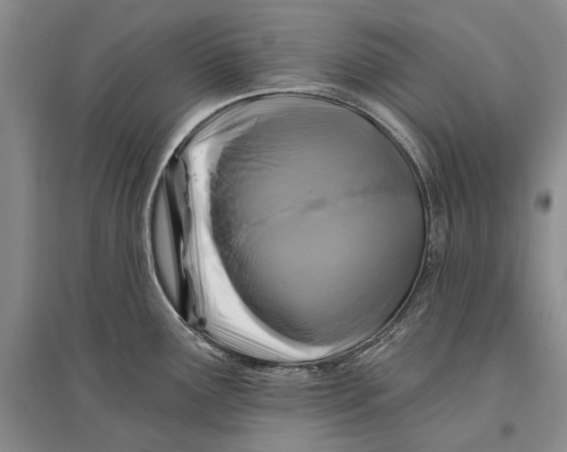 X0000096681291200802261507
