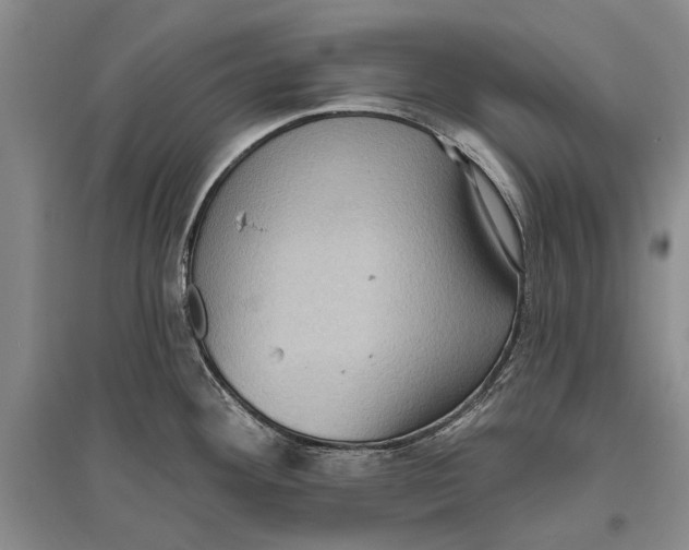 X0000096681292200802261507