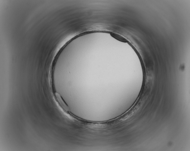 X0000096681293200802261507