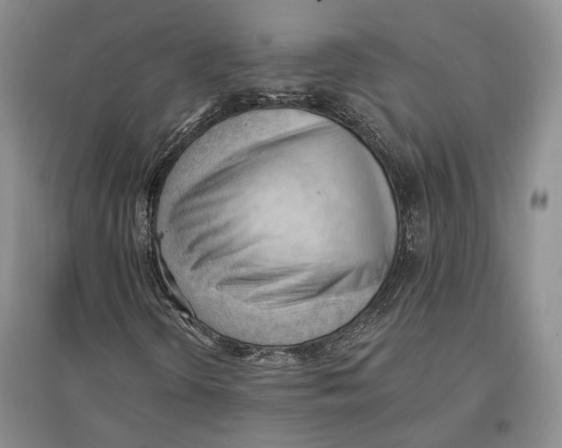 X0000096681298200802261506