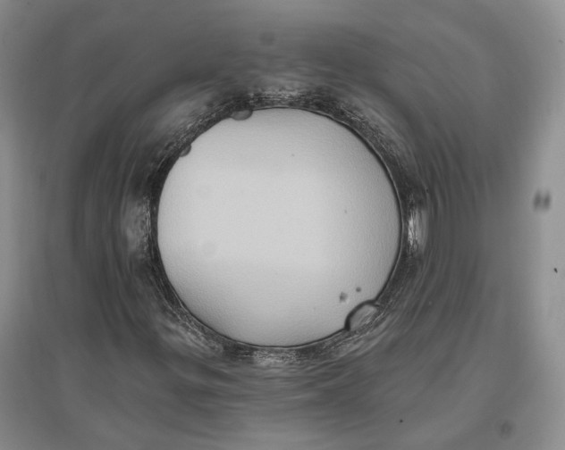 X0000096681299200802261506
