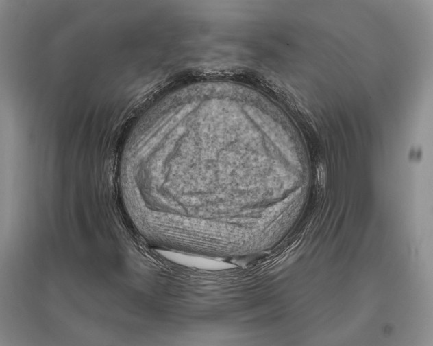 X0000096681300200802261506