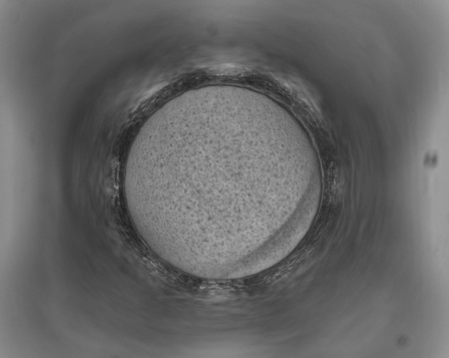 X0000096681301200802261506