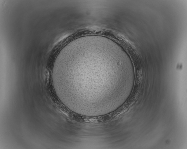 X0000096681302200802261506