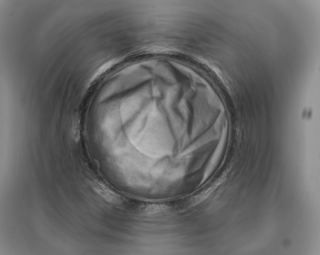 X0000096681306200802261506