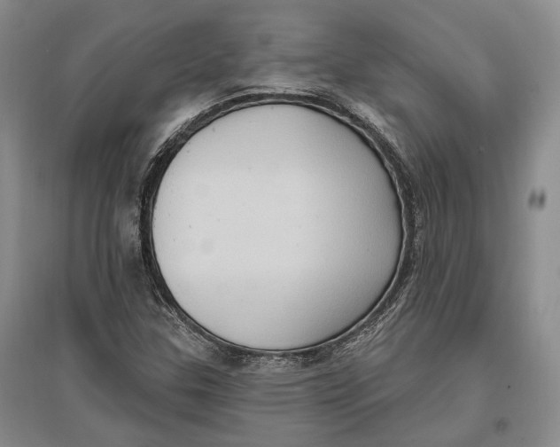 X0000096681307200802261506