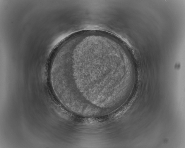 X0000096681311200802261507