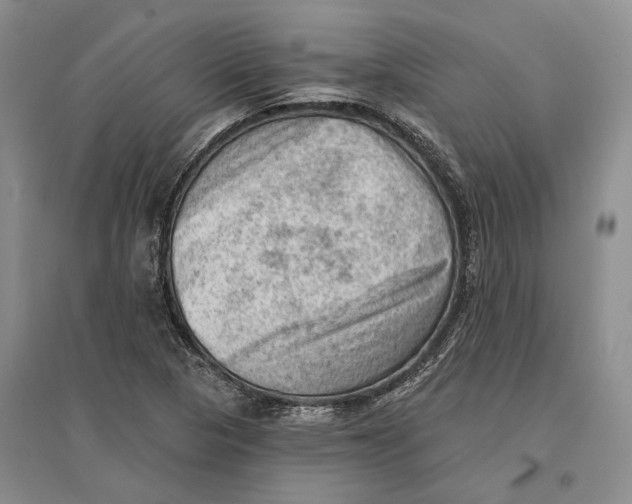X0000096681313200802261507
