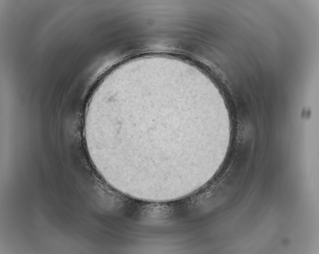 X0000096681314200802261507