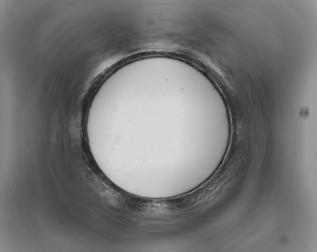 X0000096681315200802261507