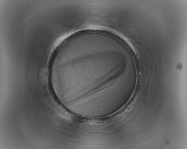 X0000096681319200802261507