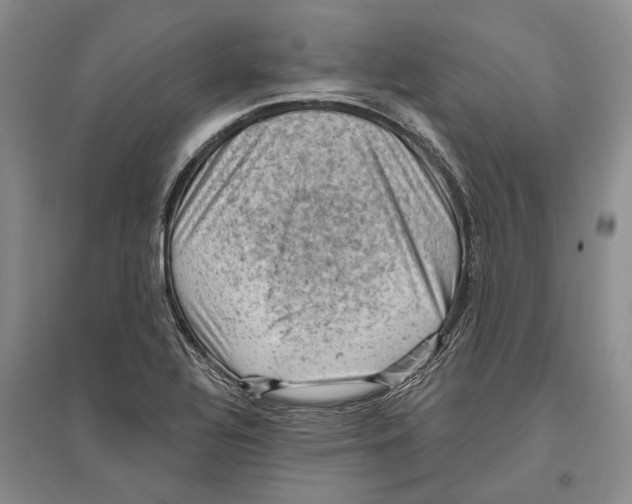 X0000096681320200802261507