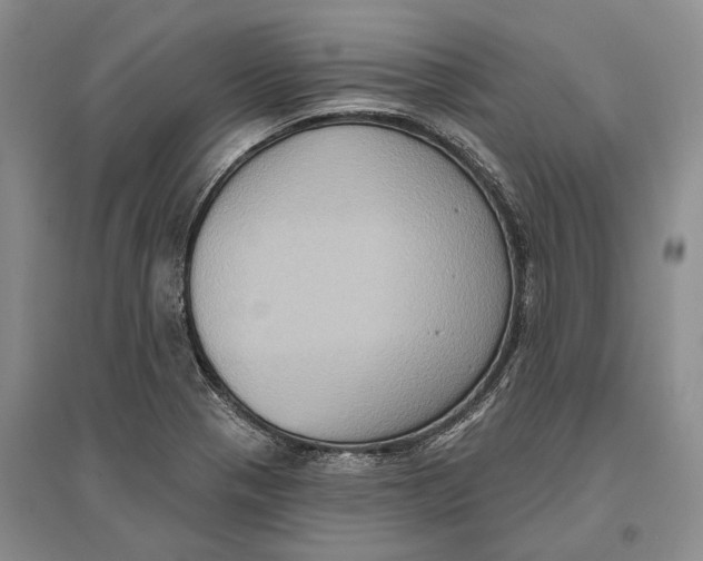 X0000096681321200802261507