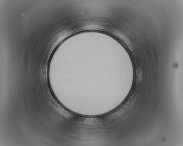 X0000096681322200802261507
