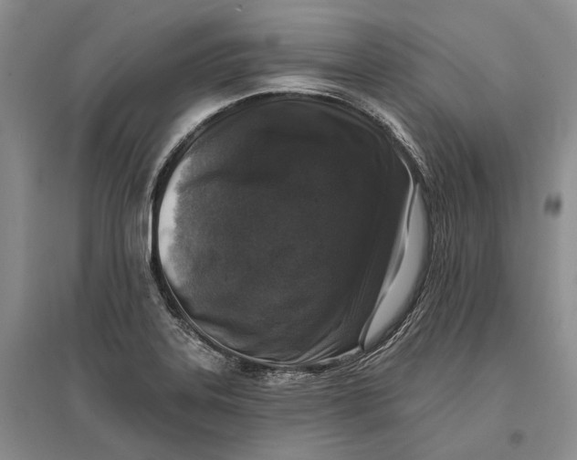 X0000096681323200802261507