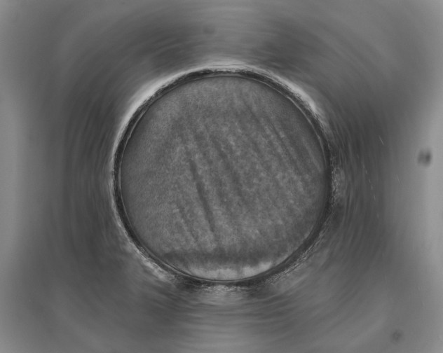 X0000096681327200802261507