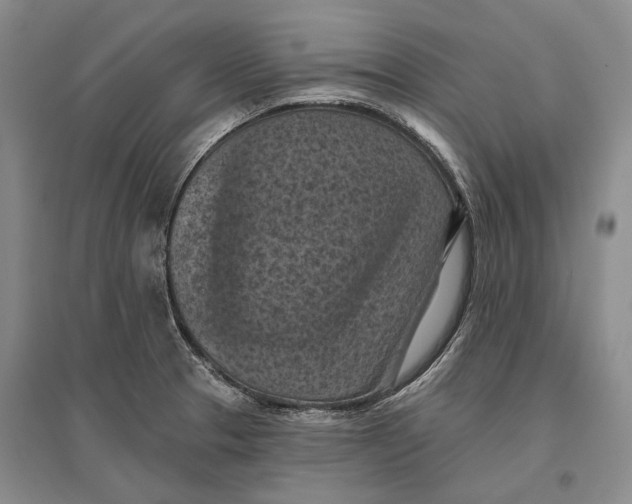 X0000096681329200802261507