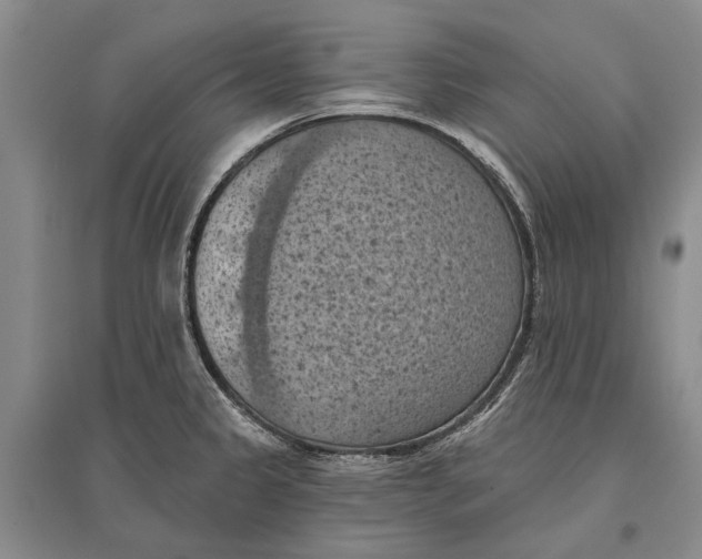 X0000096681333200802261507