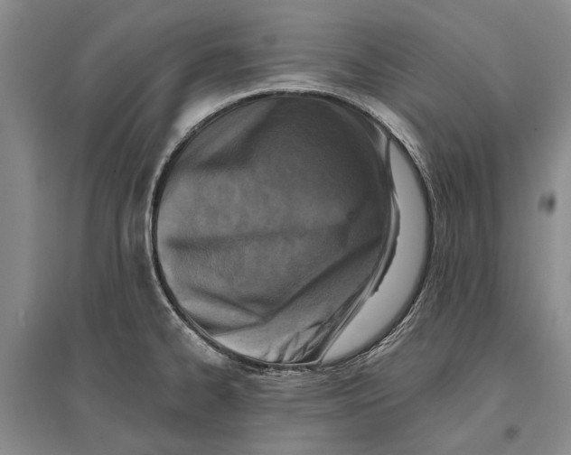 X0000096681334200802261507