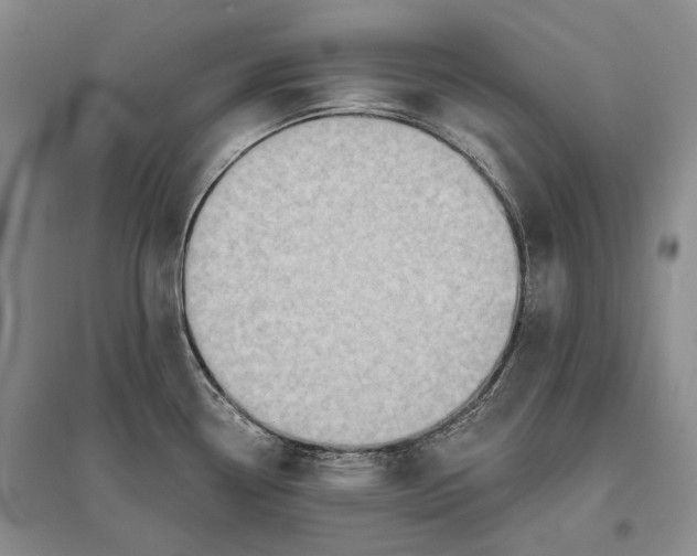 X0000096681338200802261507
