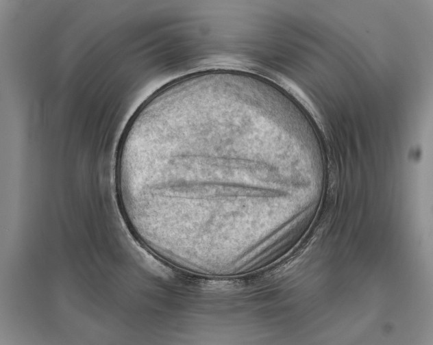 X0000096681339200802261507