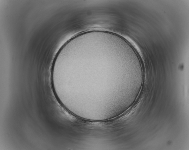 X0000096681341200802261507